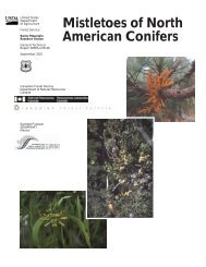 Mistletoes of North American Conifers - Urban Forest Ecosystems ...