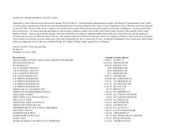 2009 Delinquent Real Estate Tax List - Union County