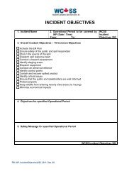 INCIDENT OBJECTIVES - WCSS