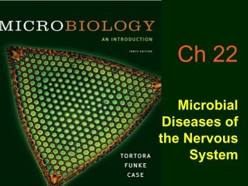 Microbial Diseases of the Nervous System