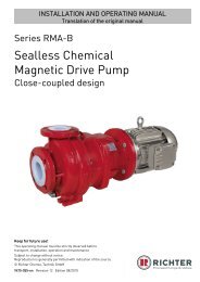 Sealless Chemical Magnetic Drive Pump - Richter Pumps