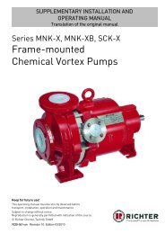 MNK Freistrom en - Richter Pumps