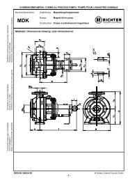 MaÃblatt / dimensional drawing / plan dimensionnel - Richter Pumps