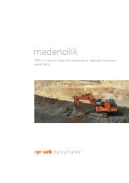 madencilik - SRK Consulting