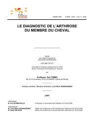 le diagnostic de l'arthrose du membre du cheval - OATAO (Open ...