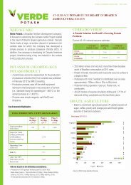 WHO WE ARE POTASSIUM CHLORIDE (KCl ... - Verde Potash Plc