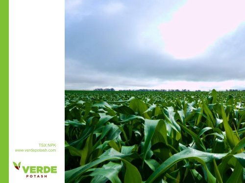 Verde fertilizantes - Verde Potash Plc