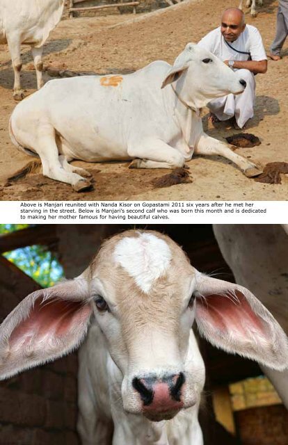 Full - Care for Cows