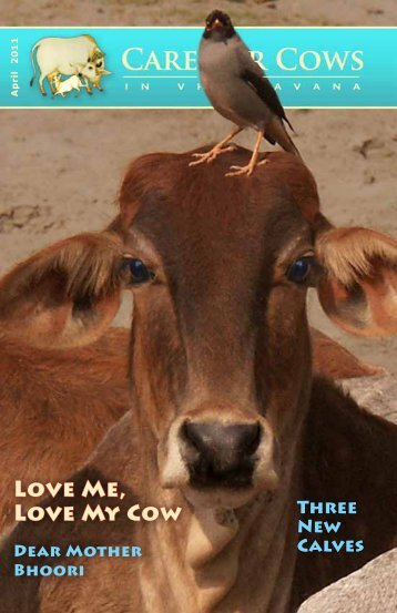 CFC April 2011 Newsletter - Care for Cows