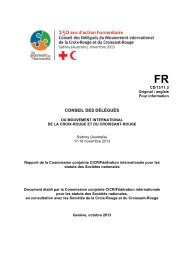 Rapport de la Commission conjointe CICR/FÃ©dÃ©ration internationale ...