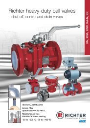 Richter heavy-duty ball valves - Viking Pump Canada