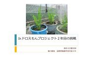 バケツSRI実験 横川華枝（東大農学部；溝口研卒論生） - 国際情報農学 ...