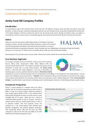 Amity SRI Company Profile - Halma & Smith