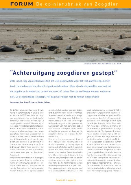 2010 is Jaar van het Wild Zwijn - Zoogdierwinkel