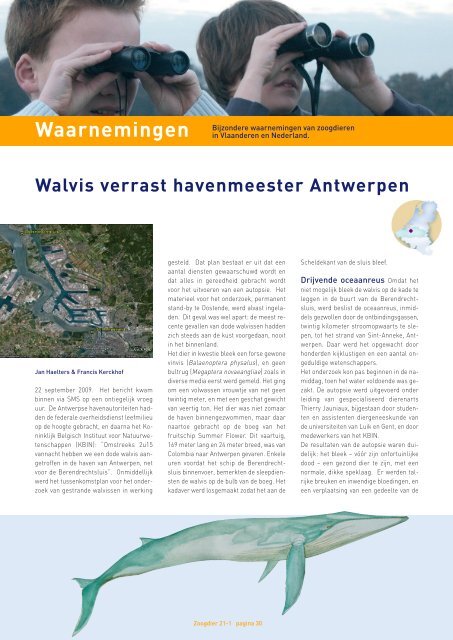 2010 is Jaar van het Wild Zwijn - Zoogdierwinkel