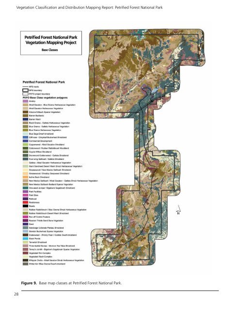 Vegetation Classification and Mapping Project Report - USGS