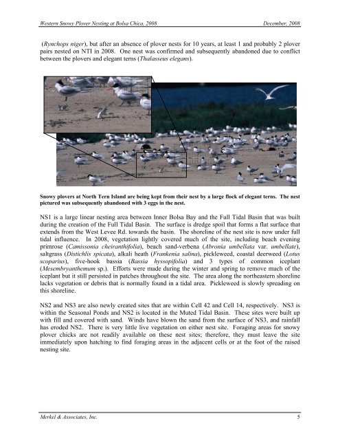 2008 Annual Monitoring Report (pdf 10.9MB) - Bolsa Chica ...