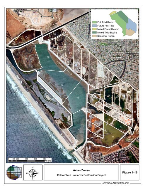 2008 Annual Monitoring Report (pdf 10.9MB) - Bolsa Chica ...