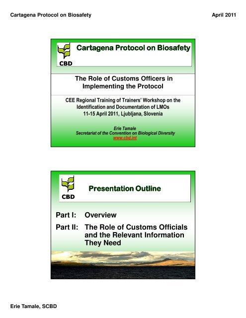 Cartagena Protocol on Biosafety Presentation Outline Part I ...