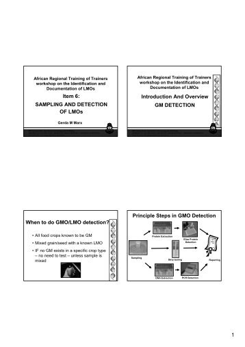 1 Item 6: SAMPLING AND DETECTION OF LMOs Introduction And Overview ...