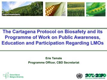 The Cartagena Protocol on Biosafety and its Programme of Work on ...