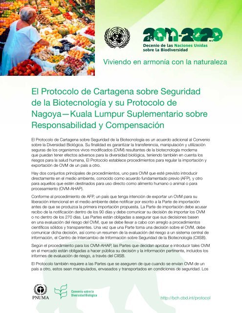 El Protocolo de Cartagena sobre Seguridad de la BiotecnologÃ­a y su ...