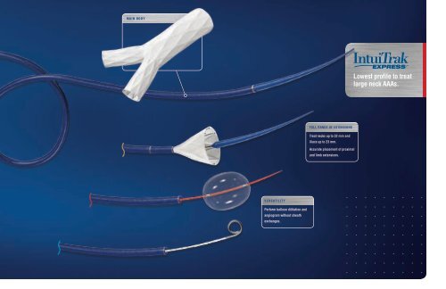 Endovascular AAA System - Endologix