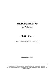 Salzburgs Bezirke - Wirtschaftskammer Salzburg