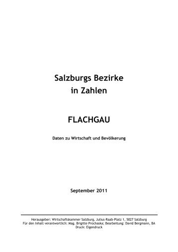 Salzburgs Bezirke - Wirtschaftskammer Salzburg