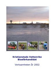 Kristianstads Vattenrike Biosfärkandidat Verksamheten år 2002