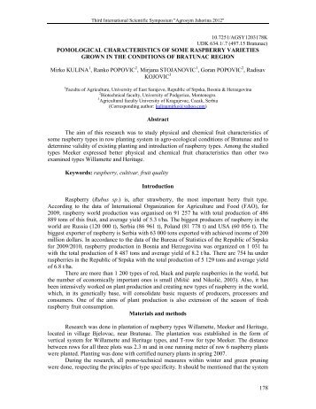 178 POMOLOGICAL CHARACTERISTICS OF SOME RASPBERRY ...