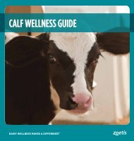 Calf wellness GUIDe - Dairy Wellness