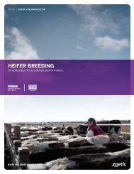 Heifer Synchronization - Zoetis