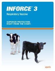 Brochure for INFORCE 3 - Dairy Wellness
