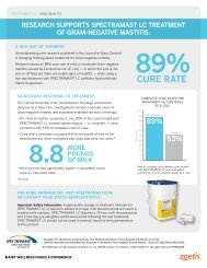 Gram negative mastitis sell sheet - Dairy Wellness