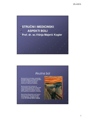 3.2.Strucni i medicinski aspekt boli, Visnja Majeric Kogler.pdf