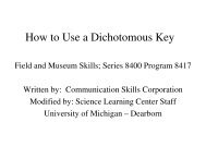 How to Use a Dichotomous Key - University of Michigan