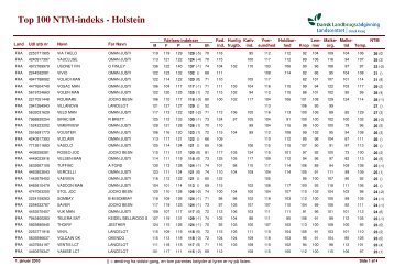 Qhitliste Y - Dansk Holstein