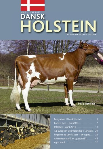 2-2013 - Dansk Holstein