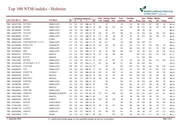 Top 100 NTM-indeks - Holstein - Dansk Holstein