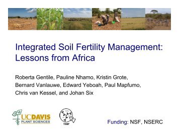 Integrated Soil Fertility Management: Lessons from Africa