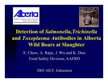 Detection of Salmonella,Trichinella and Toxoplasma Antibodies in ...