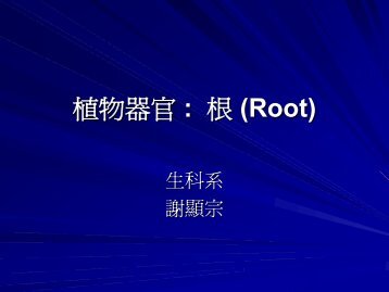 æ¤ç©å¨å®: æ ¹(Root)