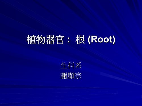 æ¤ç©å¨å®: æ ¹(Root)