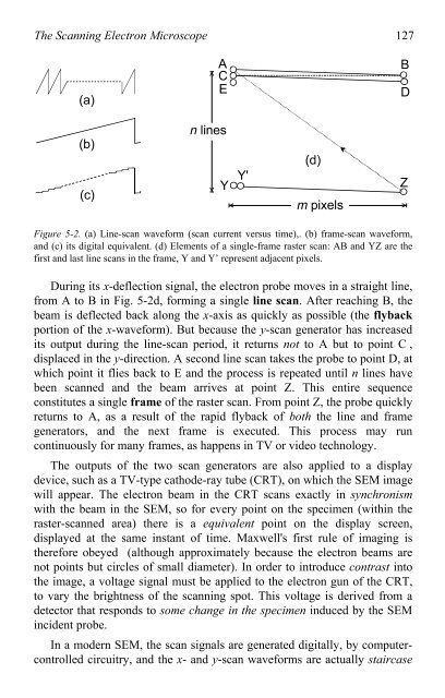 Physical Principles of Electron Microscopy: An Introduction to TEM ...