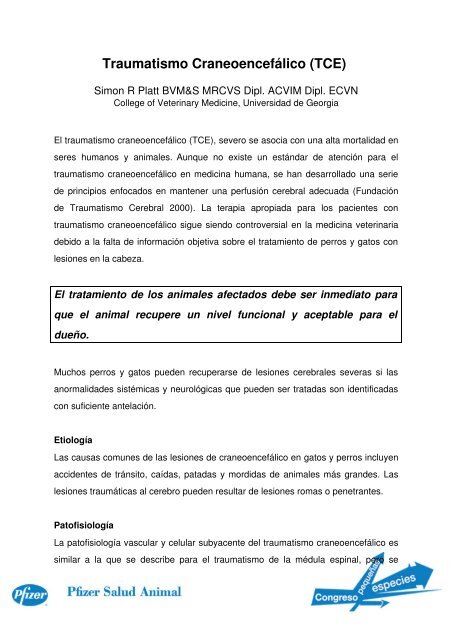 Lesión cerebral por traumatismo craneal