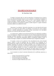 EXAMEN ENCEFALICO - VeterinariosenWeb