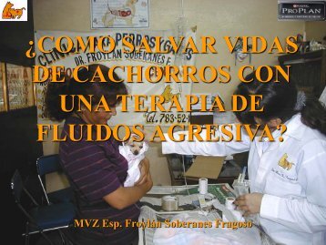 TERAPIA DE FLUIDOS - VeterinariosenWeb