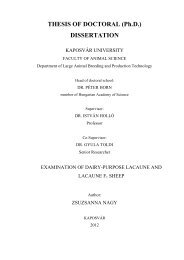 THESIS OF DOCTORAL (Ph.D.) DISSERTATION