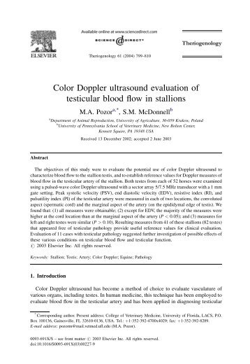Color Doppler ultrasound evaluation of testicular blood flow in stallions
